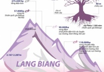Vẻ đẹp của khu dự trữ sinh quyển Langbiang