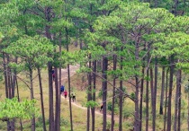 Trekking trên đỉnh Bidoup