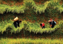 Trao giải và triển lãm cuộc thi ảnh 'Hành trình Di sản 2017'