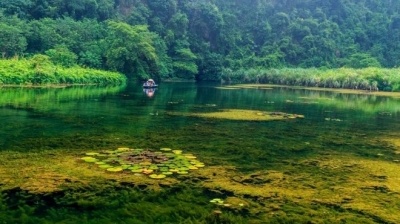 Mùa thu thanh bình trên dòng Ngô Đồng