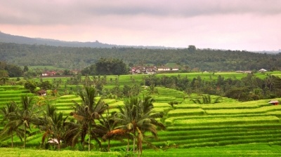 Những mảng màu bình yên ở Bali