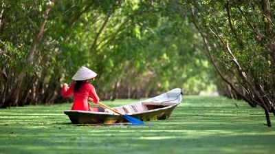 Về miền Tây ăn cá linh nấu bông điên điển