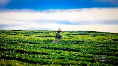 Mộc Châu, mùa nhớ, mùa yêu