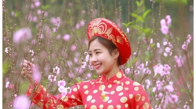 Gõ cửa mùa xuân