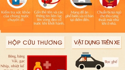 Bí quyết du lịch cùng thú cưng