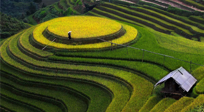 Kinh nghiệm du lịch Mù Cang Chải 3 ngày 2 đêm