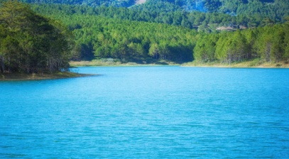 'Thiên đường xanh' quyến rũ gần hồ Tuyền Lâm