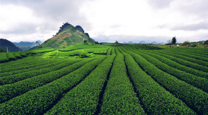 Kinh nghiệm cho người lần đầu du lịch Sơn La