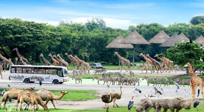 Bật mí các điểm du lịch safari ở Đông Nam Á