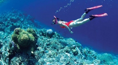 Đi tìm 6 địa điểm lặn biển ngắm san hô đẹp nhất Việt Nam