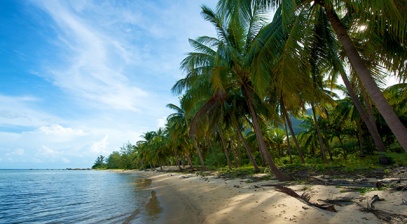'Xứ dừa' trên đảo Nam Du