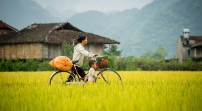 Gieo hạt vàng trên cánh đồng Bắc Sơn