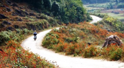 Kinh nghiệm phượt Hà Giang 2 ngày 2 đêm