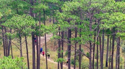 Trekking trên đỉnh Bidoup