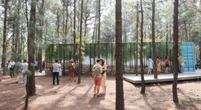 Sắc màu không gian nghệ thuật Art In The Forest 2017