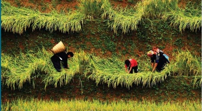 Trao giải và triển lãm cuộc thi ảnh 'Hành trình Di sản 2017'