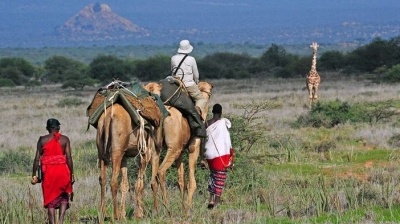 5 'thiên đường' nghỉ dưỡng Safari tuyệt vời nhất thế giới