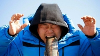 Bắt cá hồi bằng tay không trên sông băng Hàn Quốc