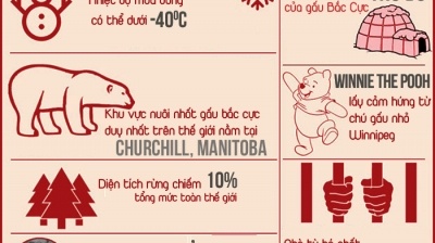 Những sự thật thú vị về Canada