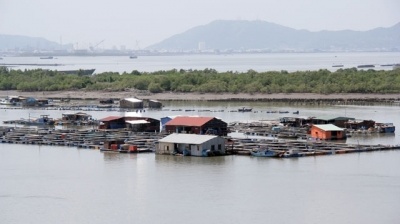 Ra Long Sơn ăn hải sản