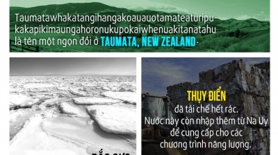 Sự thật gây kinh ngạc quanh thế giới