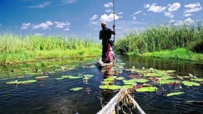 Thế giới đầm lầy, rừng ngập nước nguyên sơ tựa cõi mộng