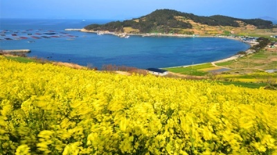 Thiên nhiên tươi đẹp ở đảo Cheongsando Hàn Quốc