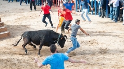 Hãi hùng cảnh du khách bị bò tót hung hãn húc trọng thương