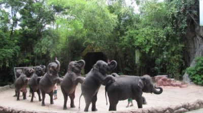 Kinh nghiệm đi Safari World ở Bangkok, Thái Lan