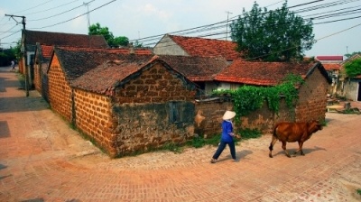 Một số thông tin du lịch làng cổ Đường Lâm