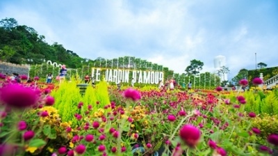 Ngắm vườn hoa mùa đông trên 'sân thượng' Đà Nẵng