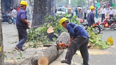 Ngày Hà Nội phá bỏ 6700 'nhà máy oxy'