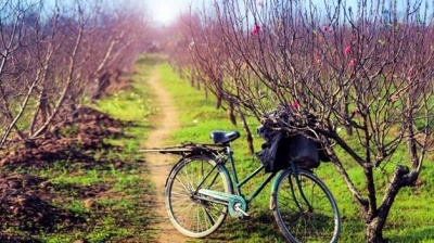 Những địa điểm du xuân đầu năm ở ba miền